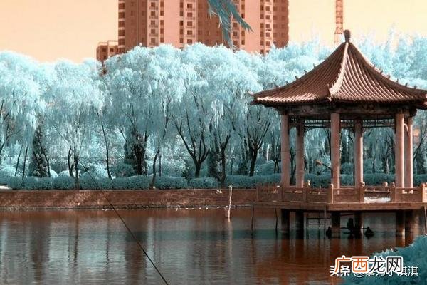 河北省内各市县的车牌代码,河北省各地区车牌号的代码含义？