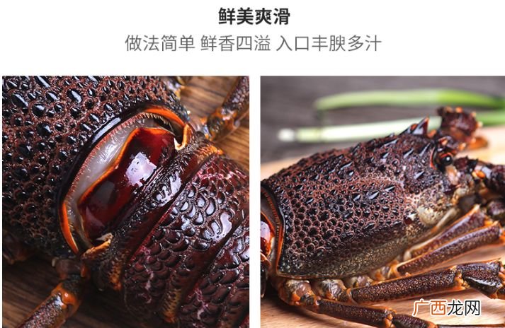 澳龙是什么意思,肖战澳龙什么梗？