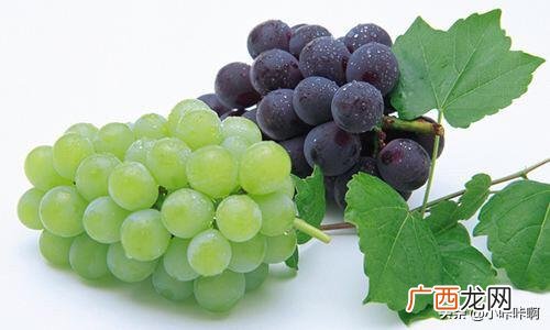 葡萄可以放冰箱吗,葡萄放冰箱能放几天?