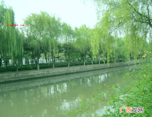 春风又绿江南岸的绿是动词,吹绿了的意思 春风又绿江南岸的绿什么意思