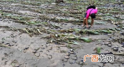 暴雨洪涝是什么灾害,暴雨是怎样引发洪水的?