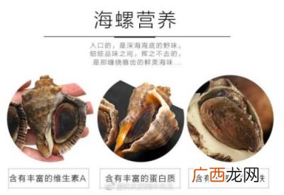 海螺怎么吃,长海螺的正确吃法？