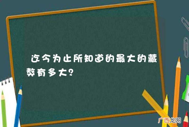 迄今为止所知道的最大的藏獒有多大？