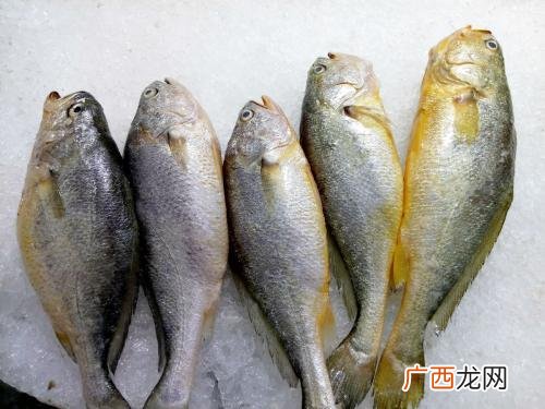 黄花鱼是深海鱼吗,黄鱼是海鲜还是河鲜？
