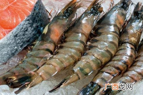 虾是什么类动物,虾是爬行动物吗？