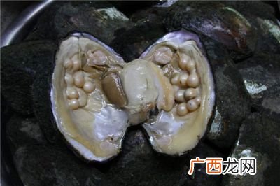 海蚌怎么做好吃,河蚌的做法大全最好吃？