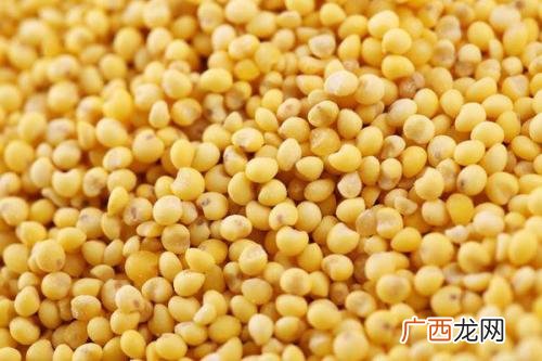 大黄米怎么吃,大黄米正常有苦味吗？