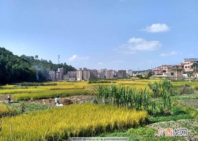 生活惬意是什么意思,人生最惬意的是什么?