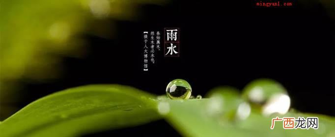 拟人好雨知时节应用了拟人的修辞方法,开头 好雨知时节运用了什么修辞手法？
