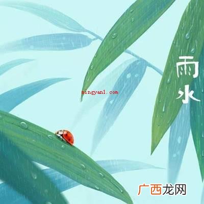 拟人好雨知时节应用了拟人的修辞方法,开头 好雨知时节运用了什么修辞手法？
