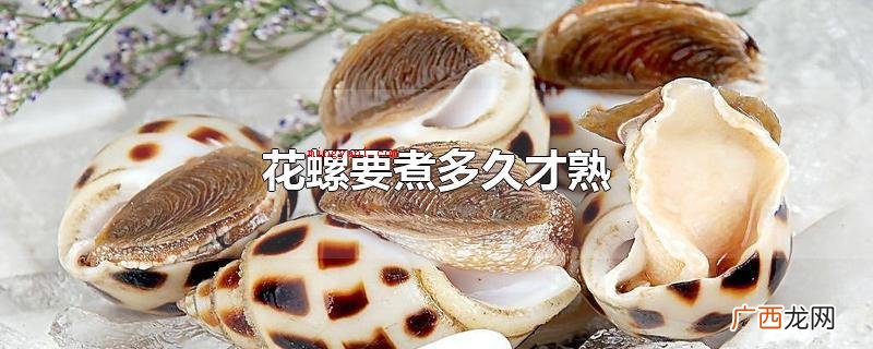 花螺要煮多长时间才熟花螺 花螺要煮多久才熟