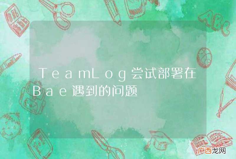 TeamLog尝试部署在Bae遇到的问题