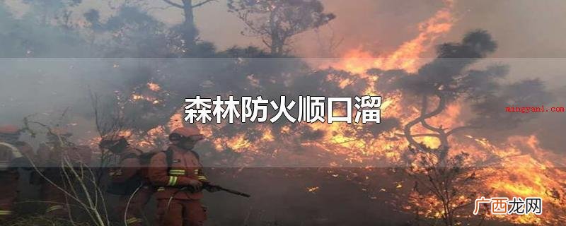 森林防火顺口溜有哪些? 森林防火顺口溜