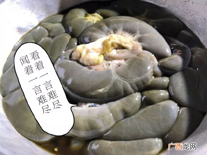 羊瘪是什么,黔东南美食？