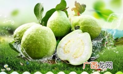 芭乐是什么,大家知道红芭乐是什么水果？