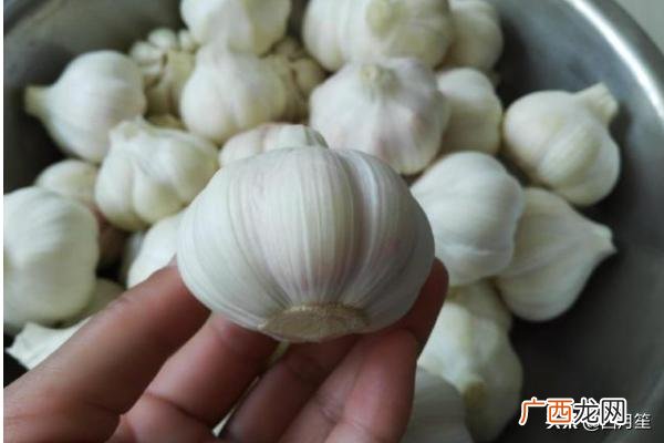 大祘头奄制法有几种,腌大蒜头的方法?