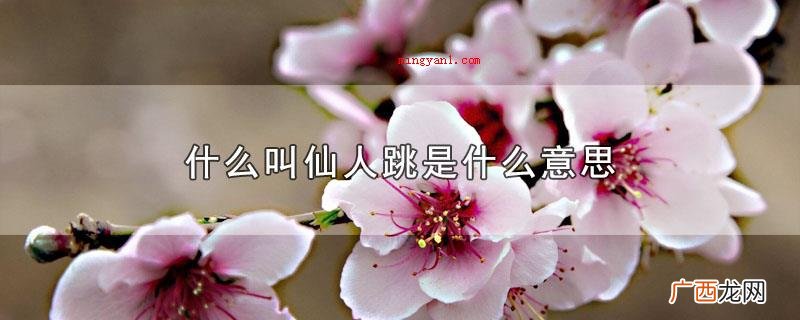 仙人跳指的是一种利用男生的都市猎艳心理状态 什么叫仙人跳是什么意思