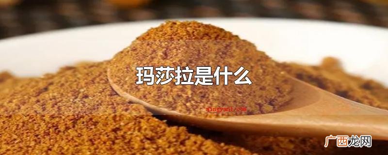 玛莎拉是一种印度的调味品,称为咖喱,英文名为 玛莎拉是什么
