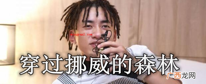 穿过挪威的森林是什么梗？