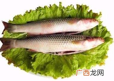 梭鱼怎么做好吃,香梭鱼做法？