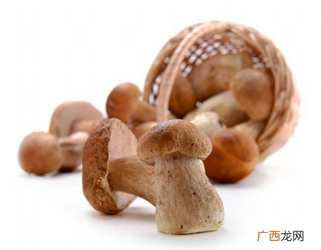 蘑菇多久能煮熟,蘑菇什么时候熟？