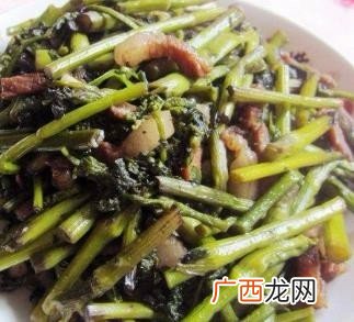 猫爪菜怎么做好吃,猫爪菜和蕨菜的区别？