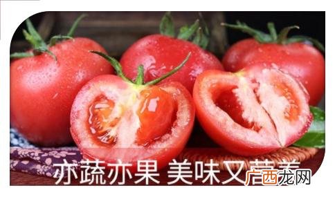 普罗旺斯与一般西红柿的区别,沙瓤西红柿和普罗旺世西红柿的区别？