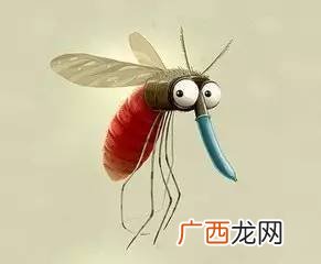 房间蚊子多是怎么回事,家里蚊子很多也不知道从哪来的怎么办？