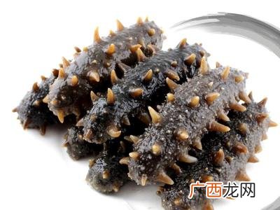 海参和海茄子的区别,怎样区别海参和海茄子？