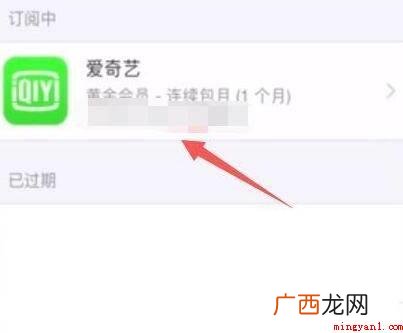 演试型号:Iphone 12系统 苹果爱奇艺怎么取消自动续费会员