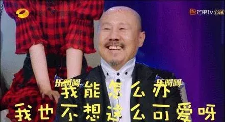 源自腾格尔教师翻唱歌曲《恋爱循环系统》 恋爱死循环是什么意思
