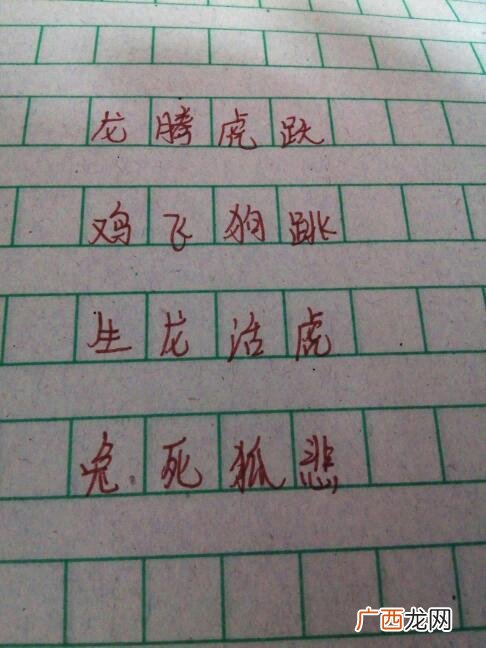 形容动物毛发的成语,形容动物的五字词语大全？