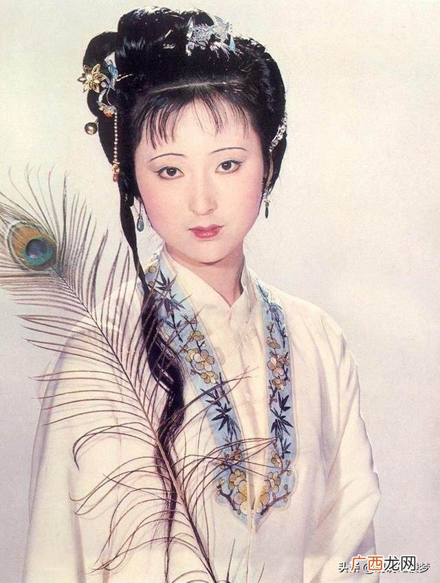 红楼梦的小说简介,红楼梦主要讲了一个什么样的故事？