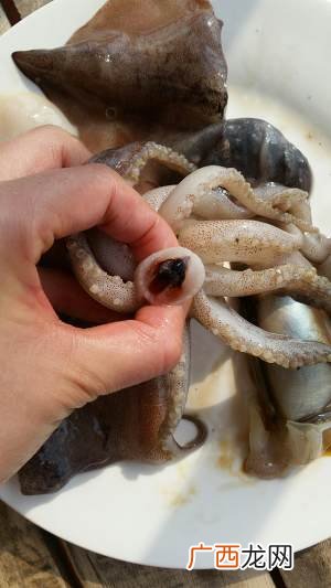 大鱿鱼怎么做好吃,深海十斤大鱿鱼做法？