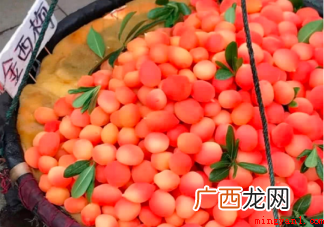 见到这类水果,千万不要买,买了便是坑! 金西梅是什么水果