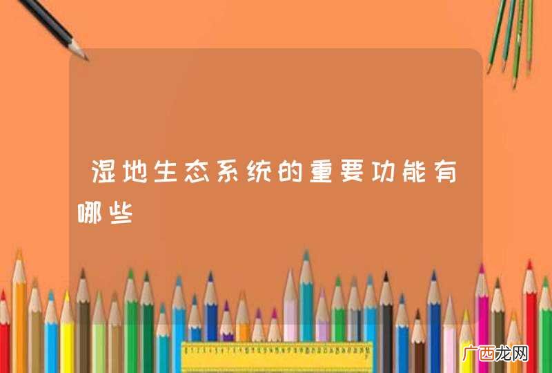 湿地生态系统的重要功能有哪些
