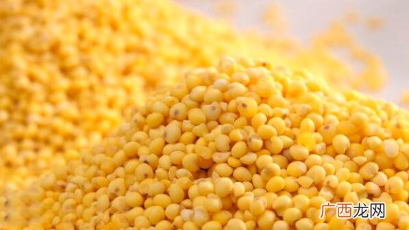 小米和黍米的营养价值区别 小米和黍米的区别