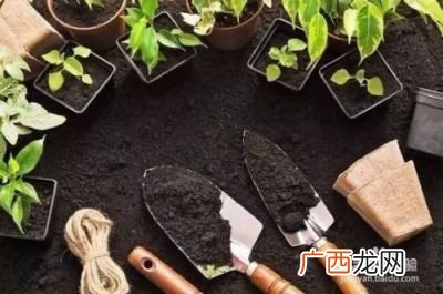 花肥麻渣的用法,施什么肥花开的颜色是红的?
