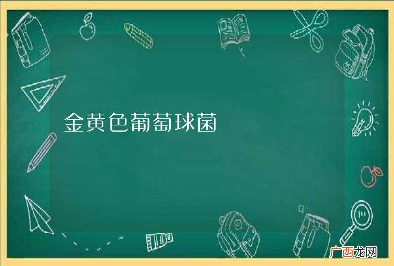 金黄色葡萄球菌