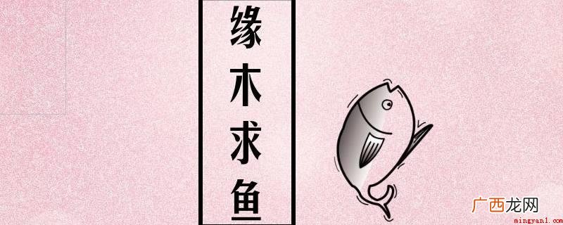 缘木求鱼,源于《孟子 缘木求鱼意思是什么