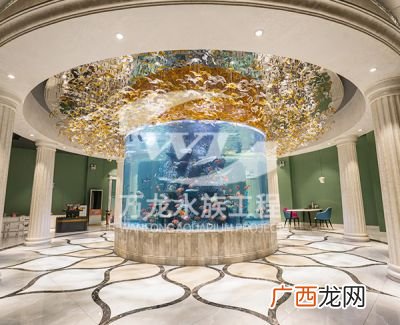 怎么防止鱼缸生褐藻,鱼缸除藻剂预防长藻几天放一次？