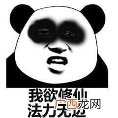 鶸是什么梗,一个弱一个鸟念什么？