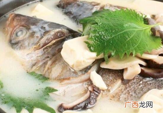 红烧大鲢鱼怎么做好吃 想要制作鲢鱼头汤 大头鲢鱼头怎么做好吃