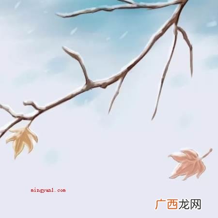 冬至秋收冬藏逐渐于冬至 秋收冬藏开始于立冬还是冬至?