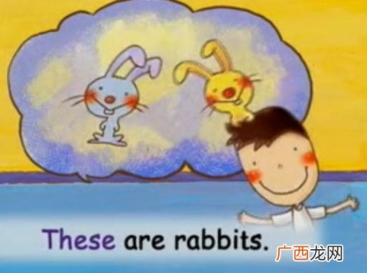 rabbit怎么读,rabbit是什么意思？