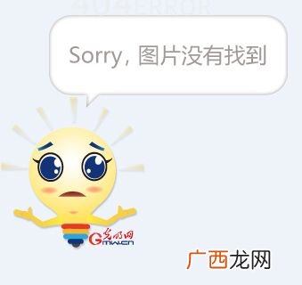 清太祖努尔哈赤有几个儿子,努尔哈赤几个儿子和孙子？