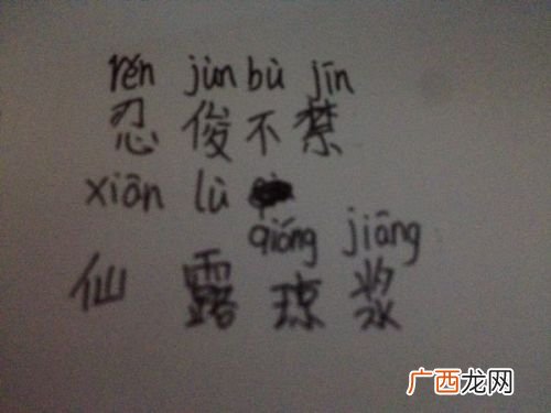 仙露琼浆的意思和拼音,仙露琼浆的近义词和反义词？