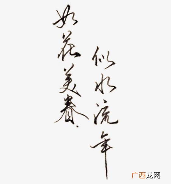 如花美眷似水流年啥意思,如花美眷似水流年什么意思？