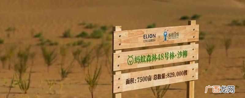 女朋友生气了,可以送她一个能量罩或者让她偷回来 偷女朋友能量生气了办