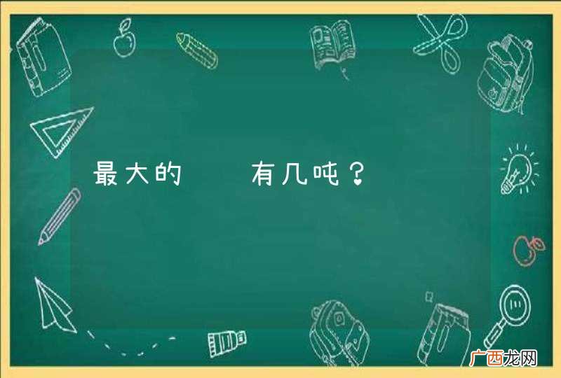最大的鲨鱼有几吨？